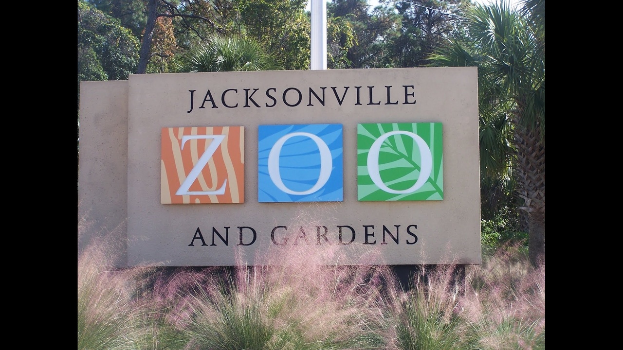 Jacksonville Zoo offering free admission for leap year birthdays
