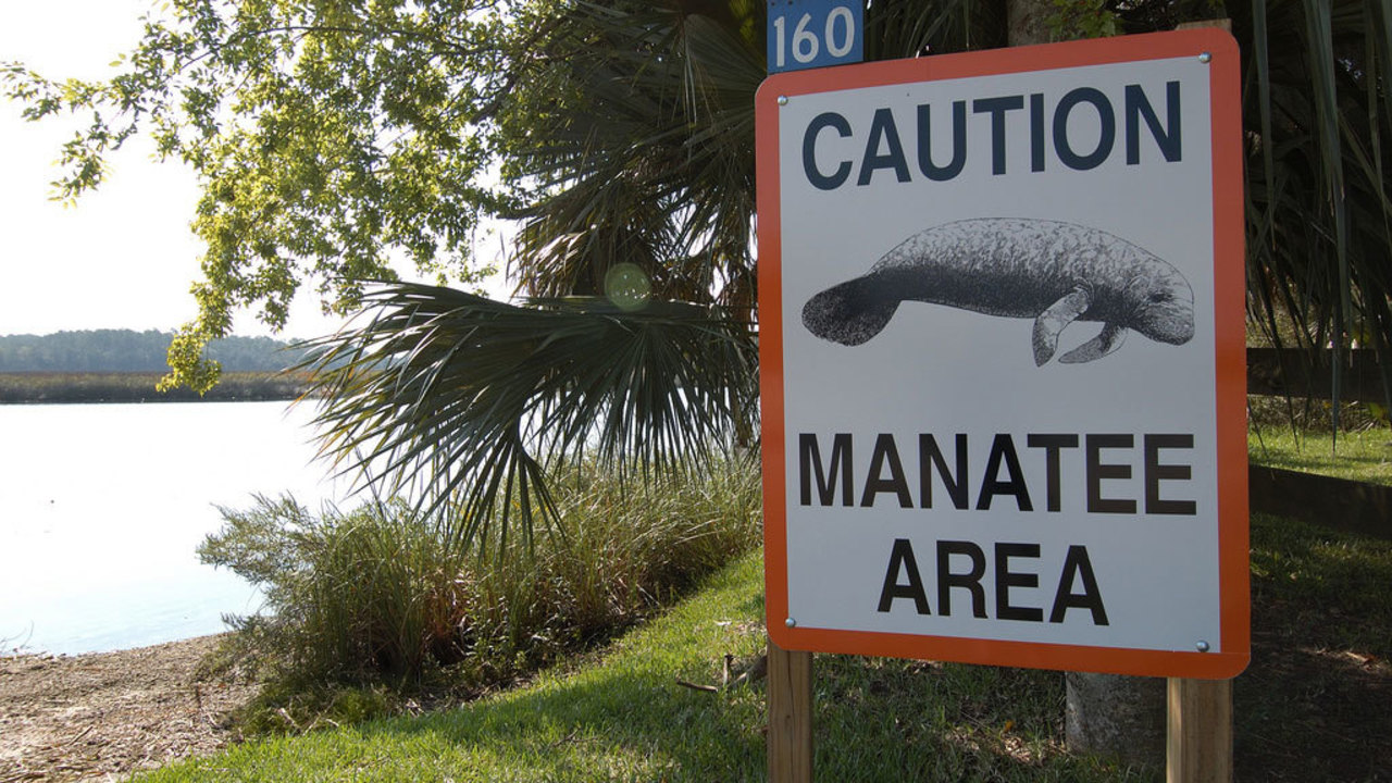 FWC to install improved manatee zone signs in St. Johns River