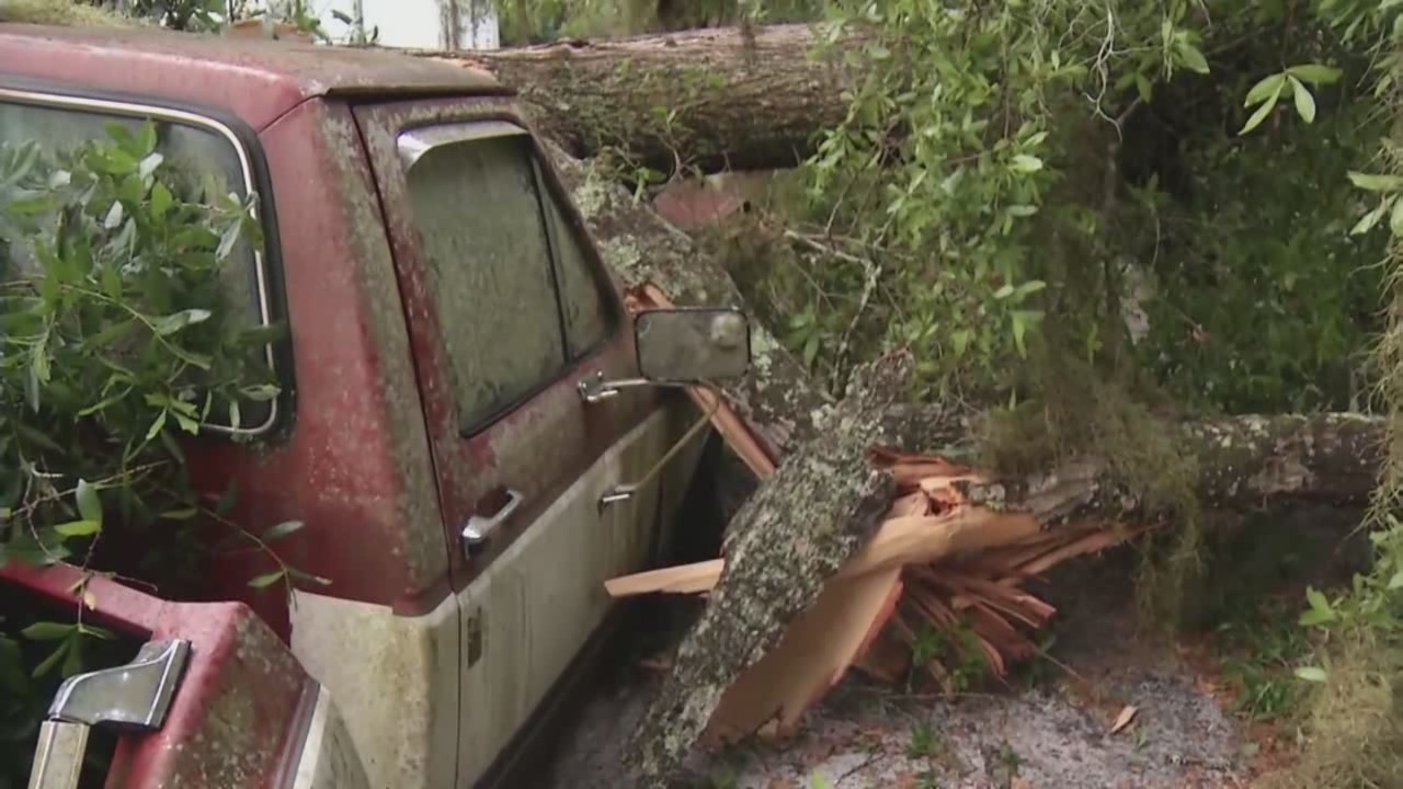 Family's truck destroyed by fallen tree in Palatka