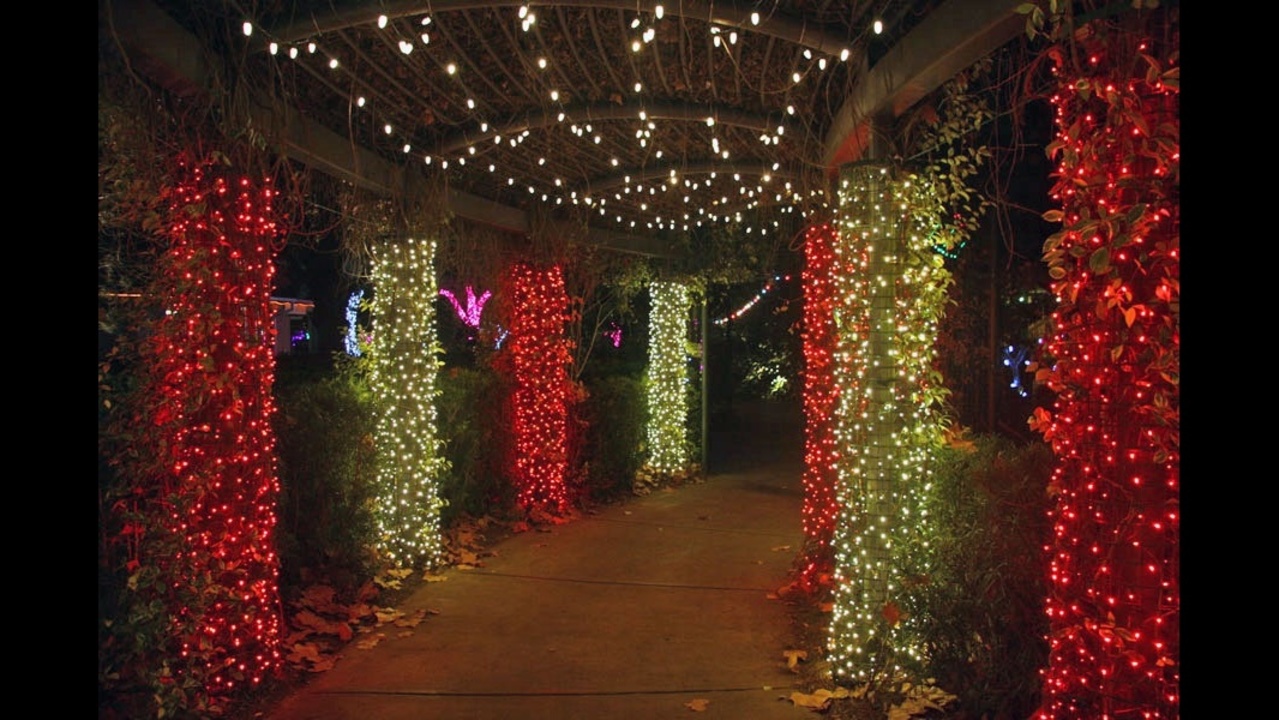 zoolights at the jacksonville zoo zoolights at the jacksonville zoo