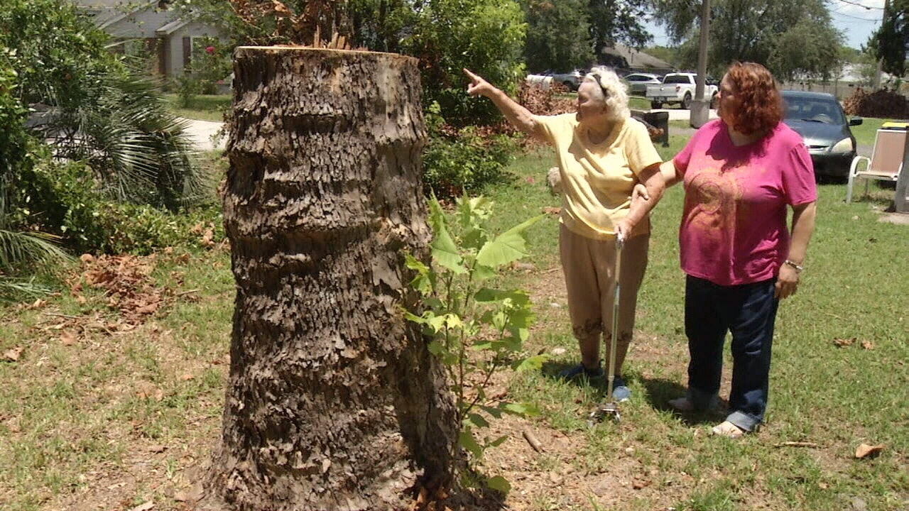 BBB warns of multiple complaints against lawn care company