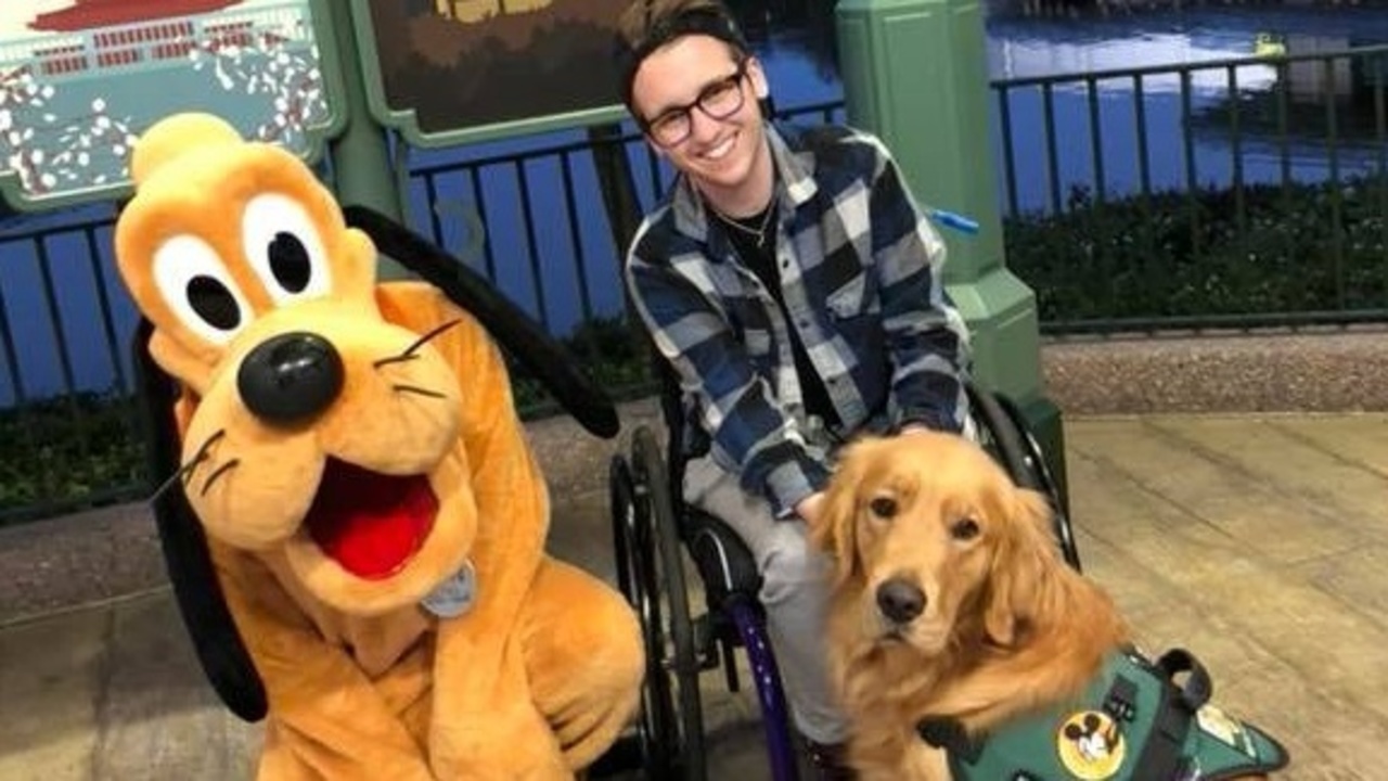 Miami Dade County Service Dogs Miami Dade County Service Dogs