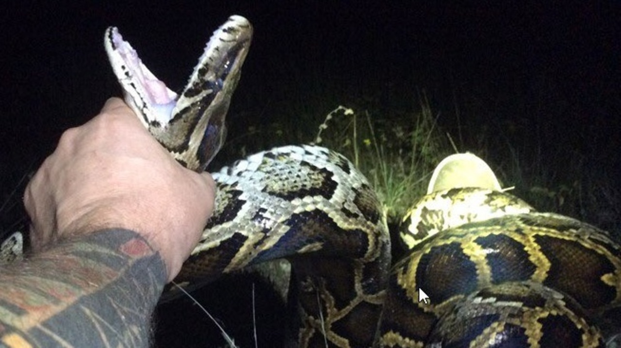 No description available