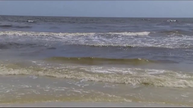 Could Red Tide Threaten Northeast Florida S Beaches