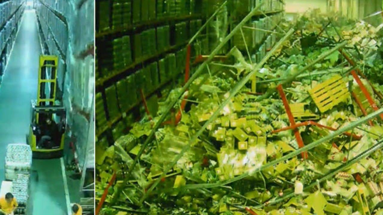 Video Forklift driver causes entire warehouse to collapse