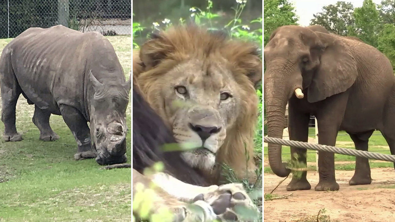 ITEAM 3 incidents in year prompt review of Jacksonville...