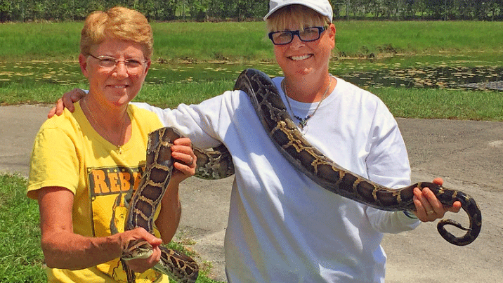 No description available