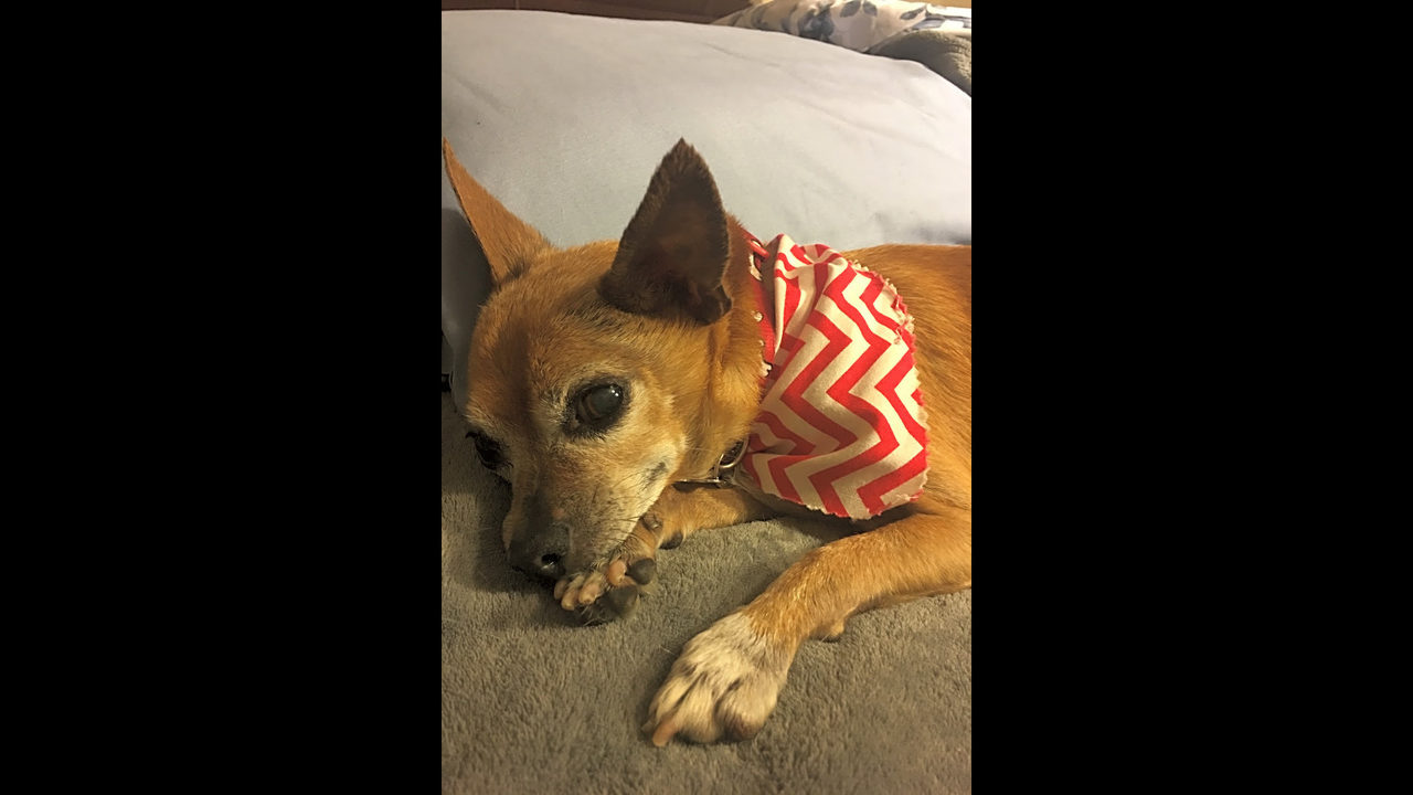 No description available