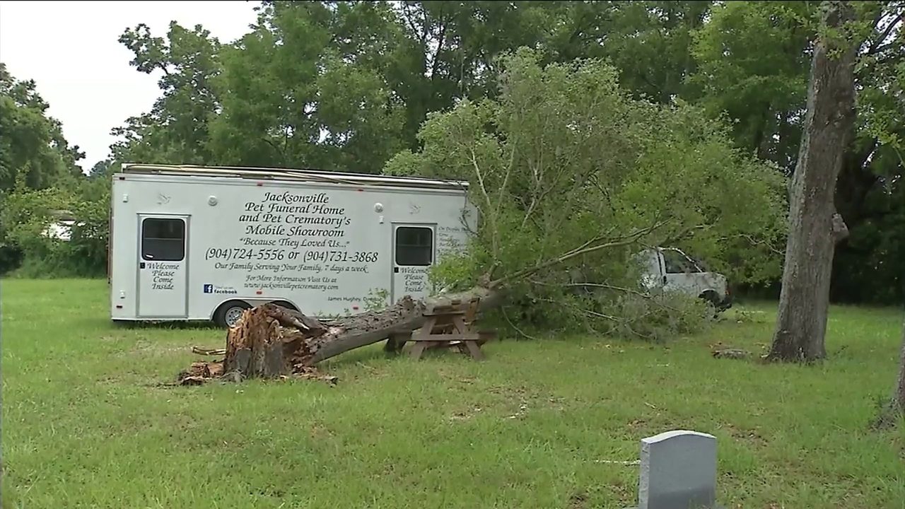 No description available