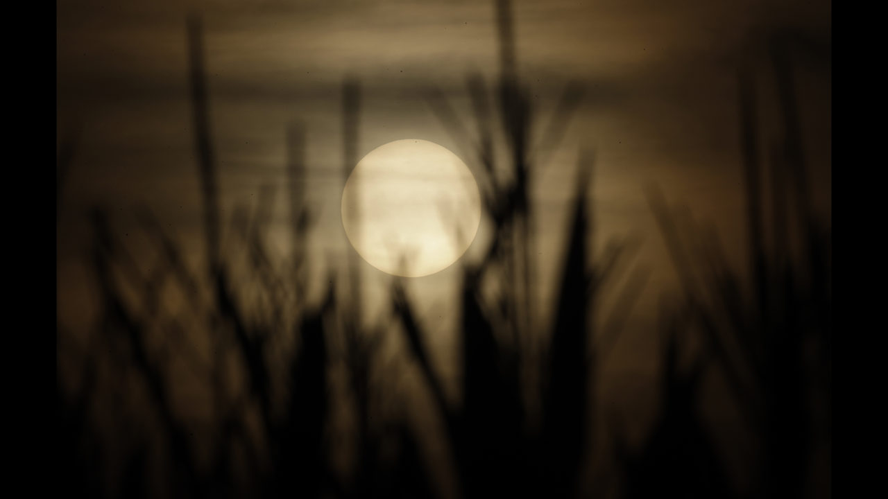 No description available