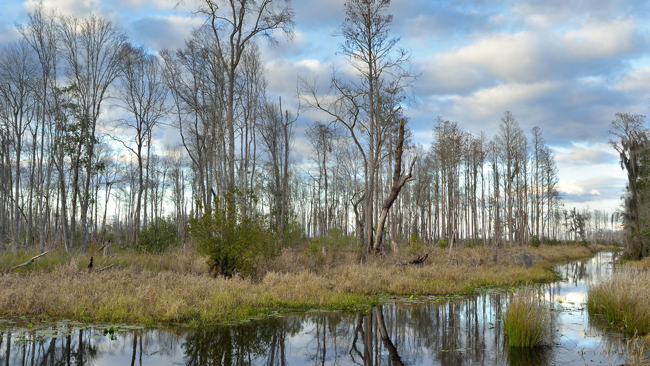 No description available