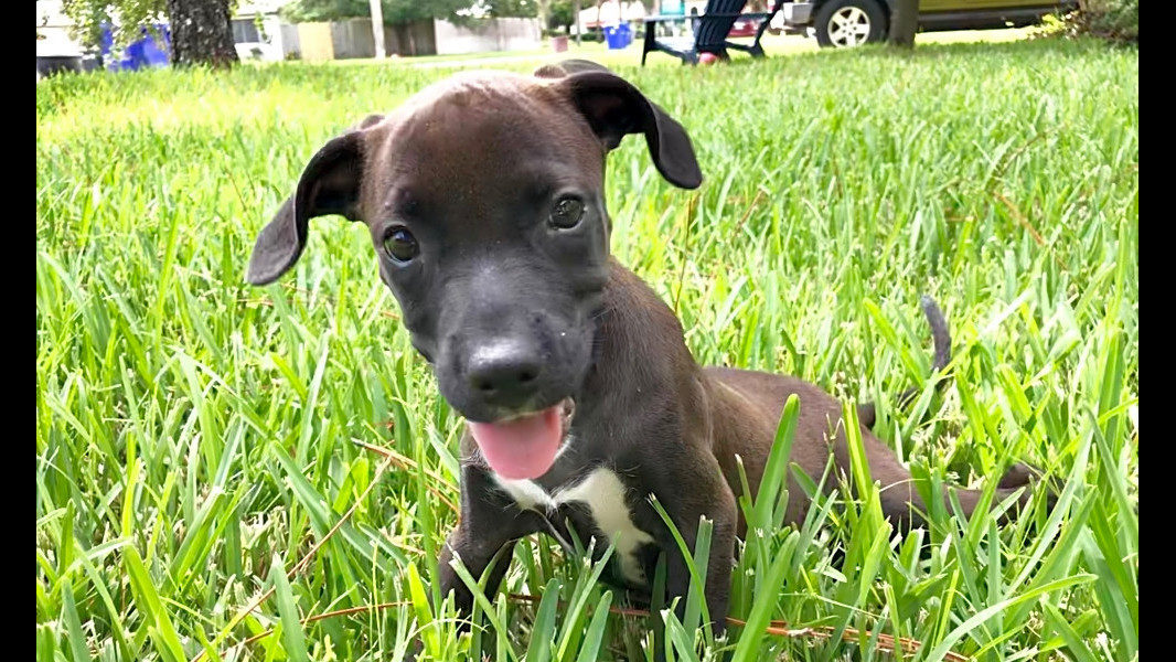 No description available