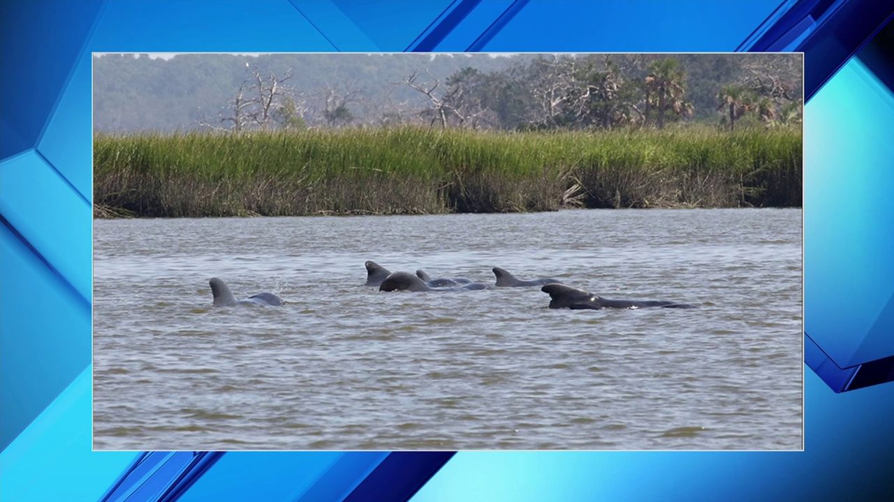 No description available