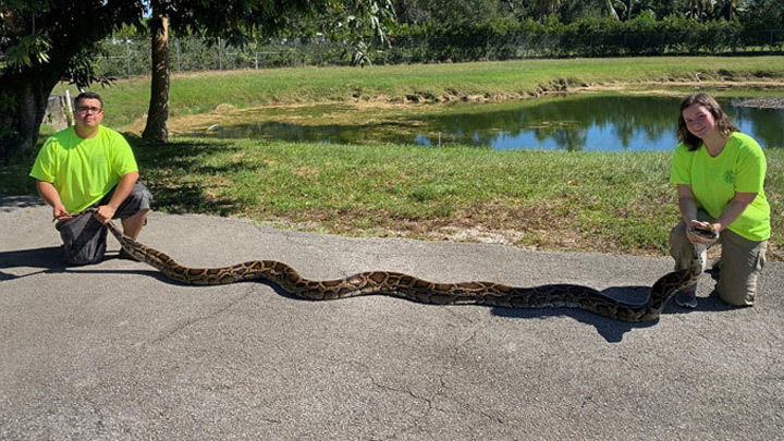 No description available