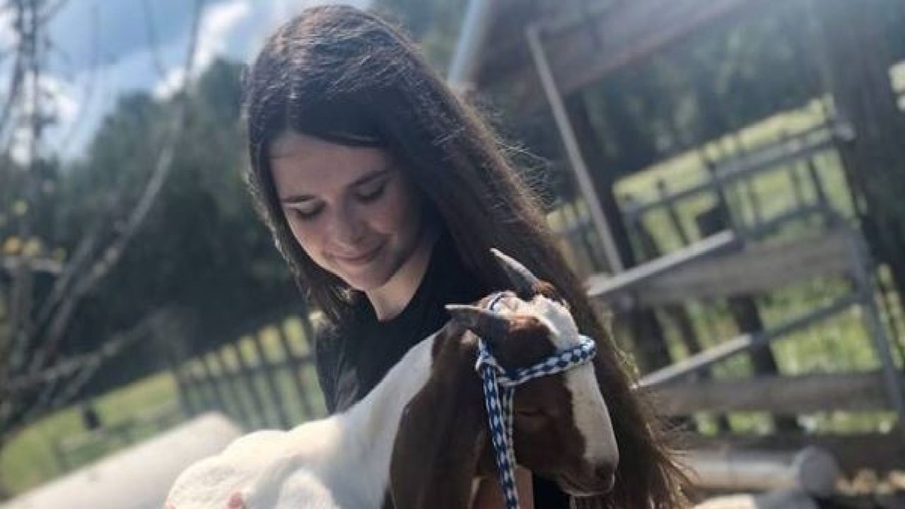 No description available