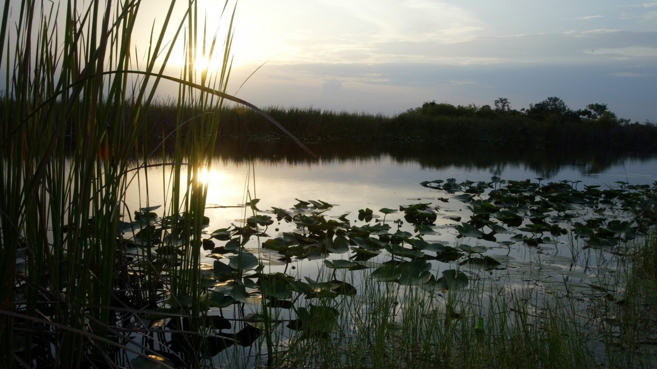 Environmentalists push for full funding of Florida Forever