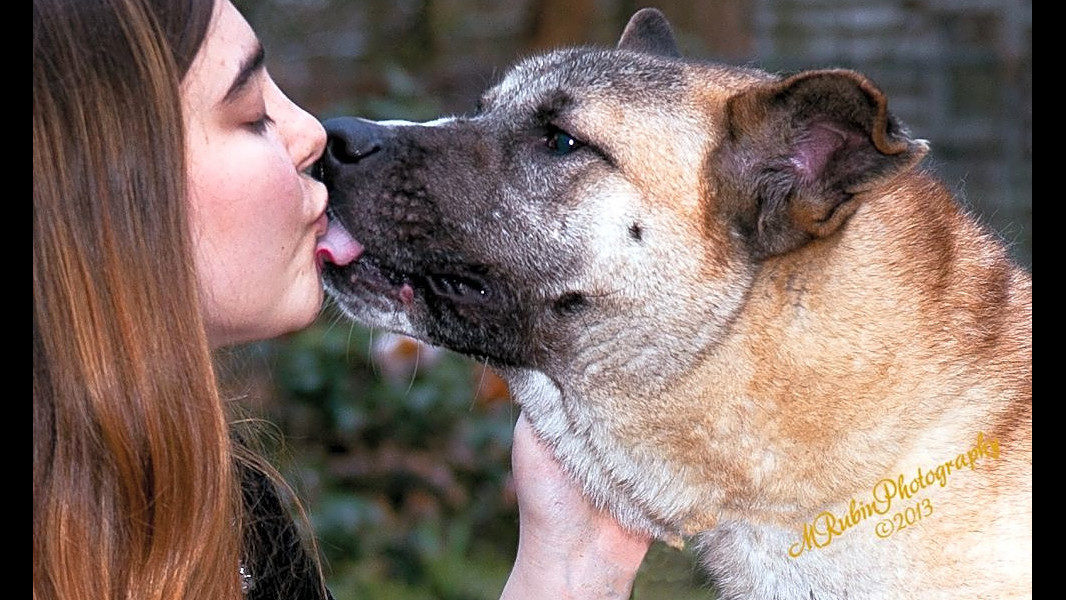 No description available